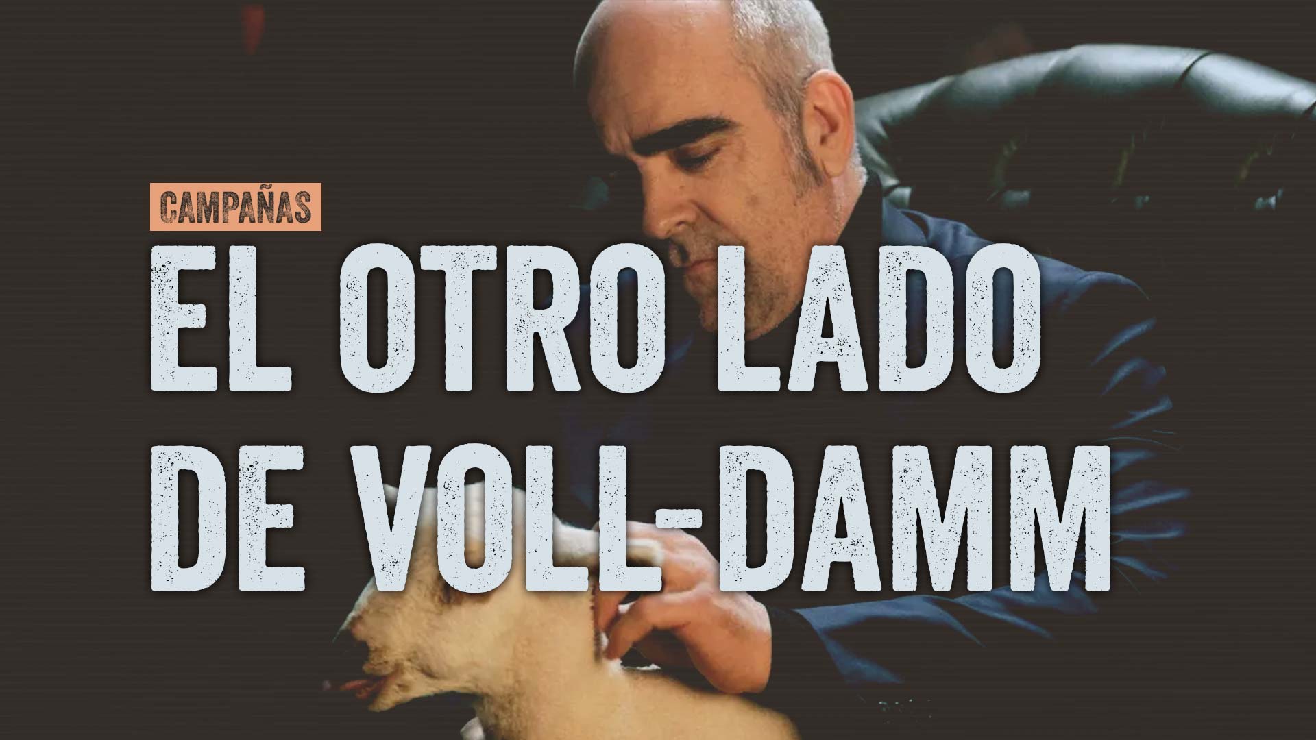 volldamm Volldamm
