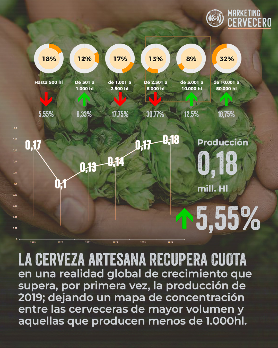 Informe cerveza España 2024