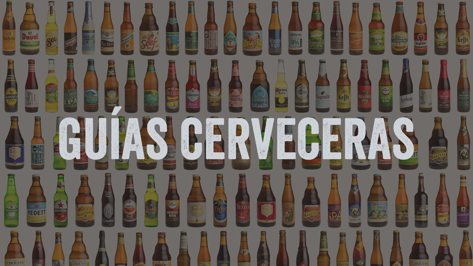 Libros guias y manuales cerveceros
